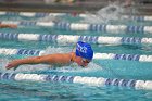 Swimming & Diving vs Babson  Swimming & Diving vs Babson College. - Photo by Keith Nordstrom : Wheaton, Swimming